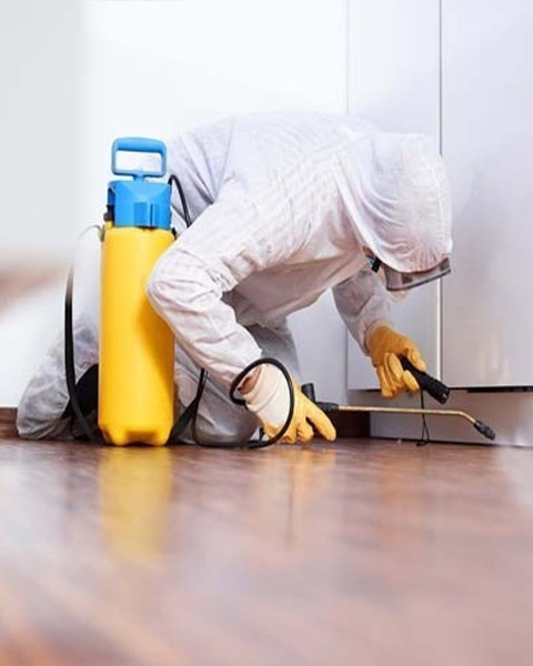 Residential Cleaning in Qatar